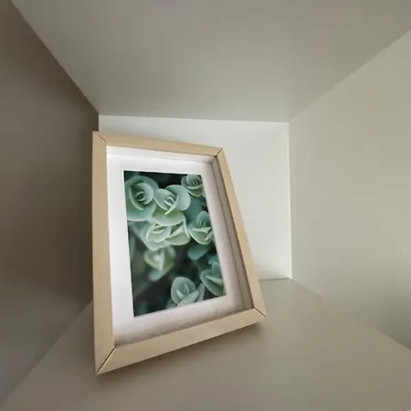 Au Jardin De La Saudrune 3* Villeneuve-Tolosane